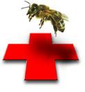 BienenstichErsteHilfe