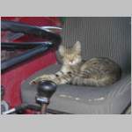 DSCN3273.JPG