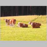 DSCN3317.JPG